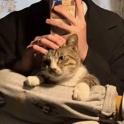 猫_男生头像_我要个性网