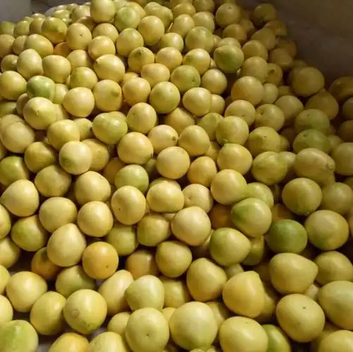 8斤-2.5斤小果白柚