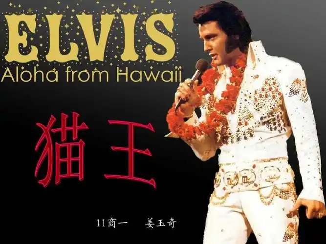 猫王elvis简介