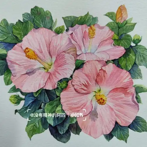 我的绘画成长史  #水彩打卡  #寻找小红书绘画大神  #自学水彩