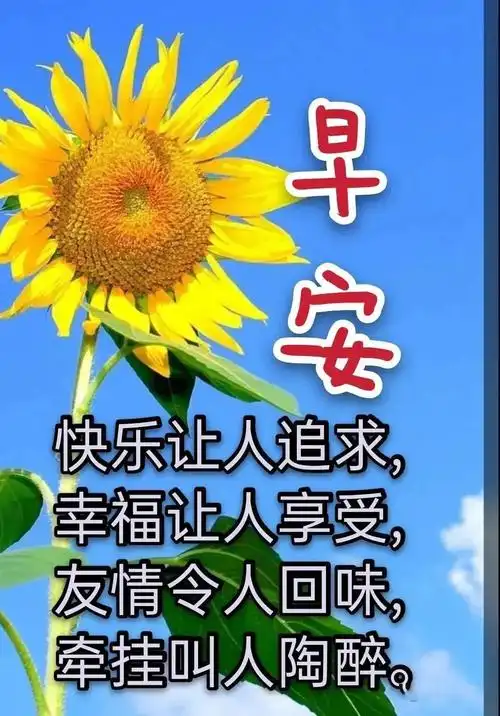 有创意的清晨早安问候祝福语图片带字温馨