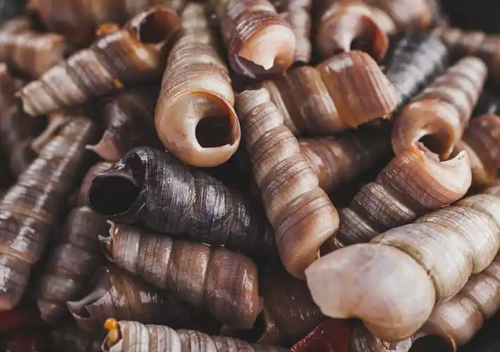 黑色桌面上的麻辣钉螺