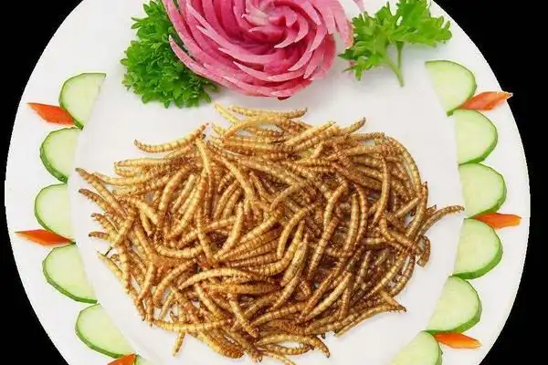 黄粉虫可以吃吗