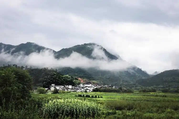 青山黛瓦白云绕 2分钟前 ·阅读4 琴瑟和谐 关注