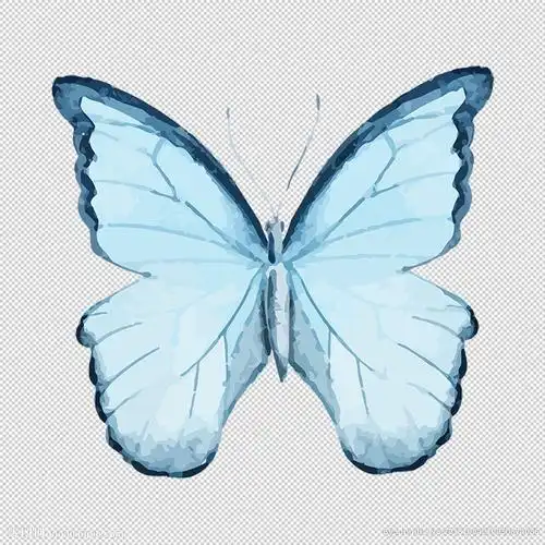 透明底蝴蝶图片