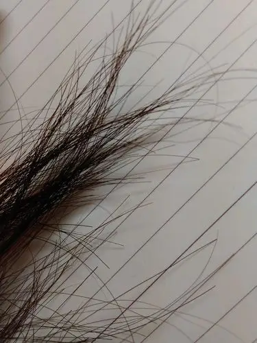 这种头发算粗吗