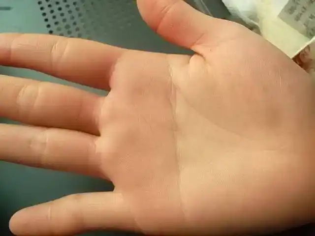 断掌的女人真的克夫吗?断掌到底是福还是祸?