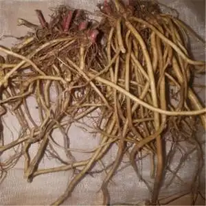 现挖生新鲜土牛膝根纯天然牛膝倒扣草接骨草扭伤500克包邮