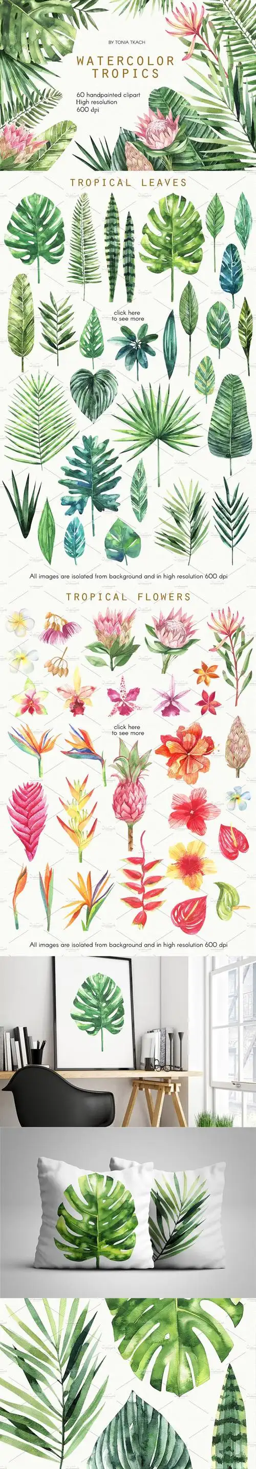 手绘水彩热带植物