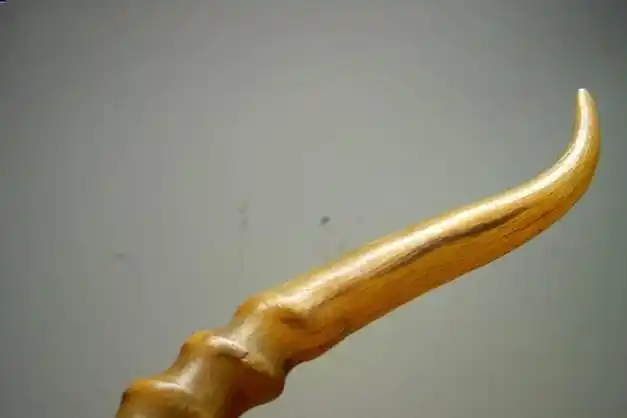 一对赛加羚羊角,意味着赛加羚羊永远失去了生命.