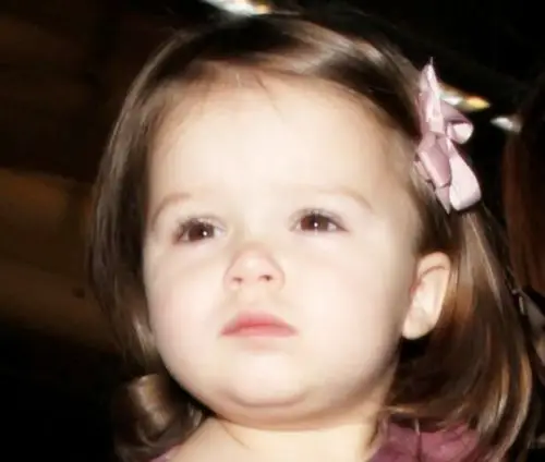 适合做头像的呆萌小七哈珀