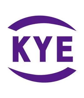 跨越速运集团有限公司的logo