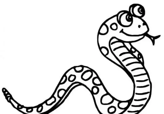 眼镜蛇简笔画