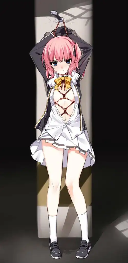 束缚是一种艺术 你要拜师学艺吗? 束缚特辑