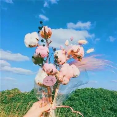 中年女士专用头像(精选18张)-非主流之家