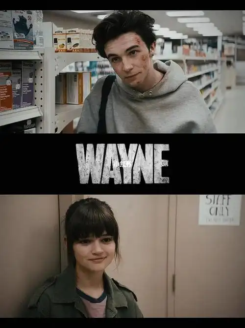 wayne 截修 美剧推荐