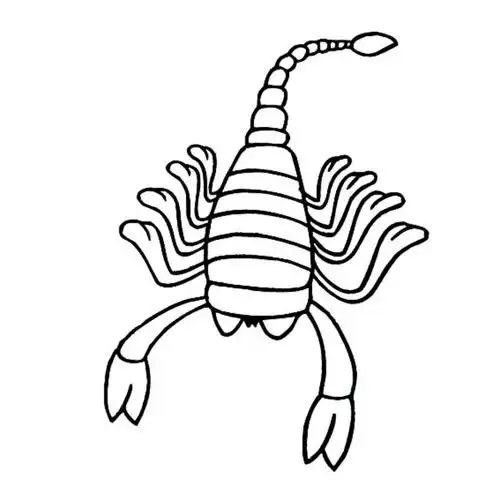 蝎子昆虫简笔画步骤图片大全三,儿童简笔画,幼儿简笔画,简笔画图片
