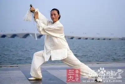 陈式太极拳 陈照丕大师教您太极推手