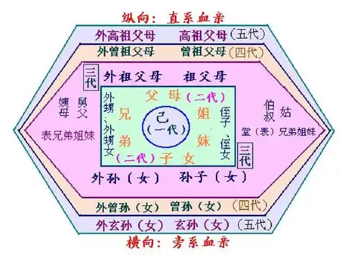 直系旁系血亲图