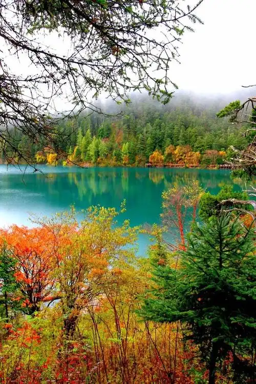 五彩斑斓,美景如画,好美的九寨沟秋景!