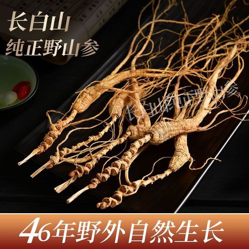 人参长白山人参野山参46年林下参干人参吉林人参长白山林下山参