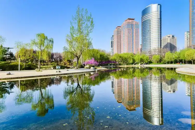 郑州之林手机拍的都这么美还跑什么武大看樱花