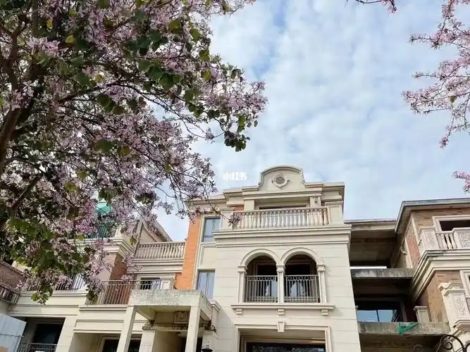 宝珊花园类独栋别墅