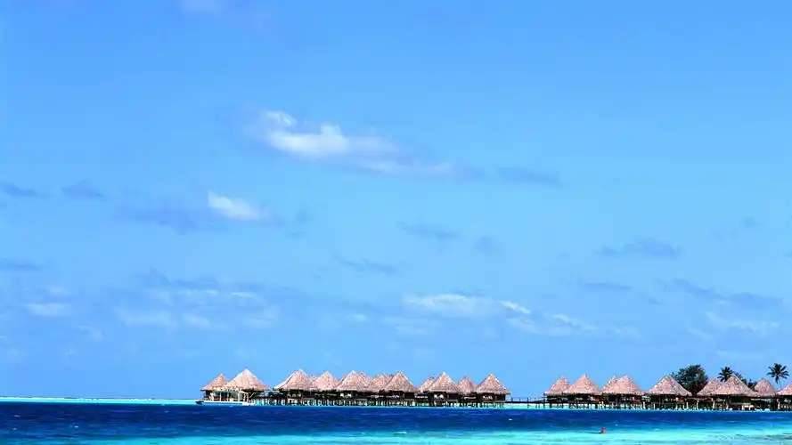 (4/ 13) 2013-02-08 17:50:04 壁纸尺寸是: 图片来自用户"孤独的鹰"