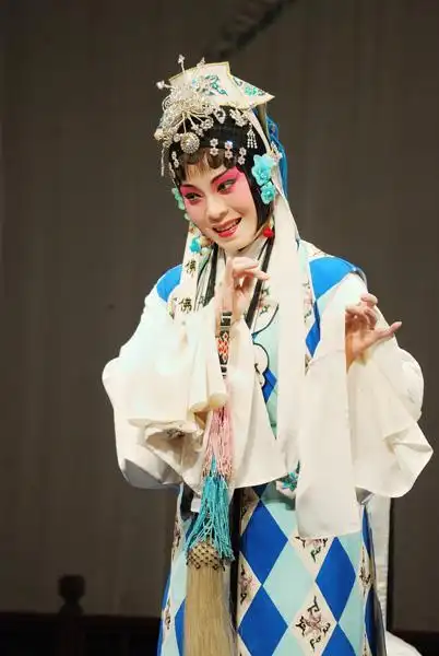 豫剧99《陈妙常》(王素君 高玉秋)