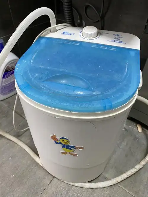 小型洗衣机 4.5kg 带甩干 半自动