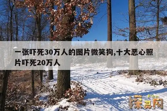 微笑狗为什么恐怖?微笑狗事件是什么