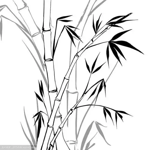 儿童简笔画图片 竹子竹子简笔画怎么画怎么画竹子简单又漂亮一步一步