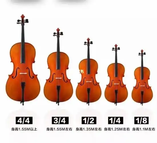 相信很多琴童和家长都会有这个问题,可以参照以上的图片#大提琴 #大