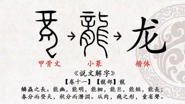 第21天 甲骨文十二生肖"龙"字的写法