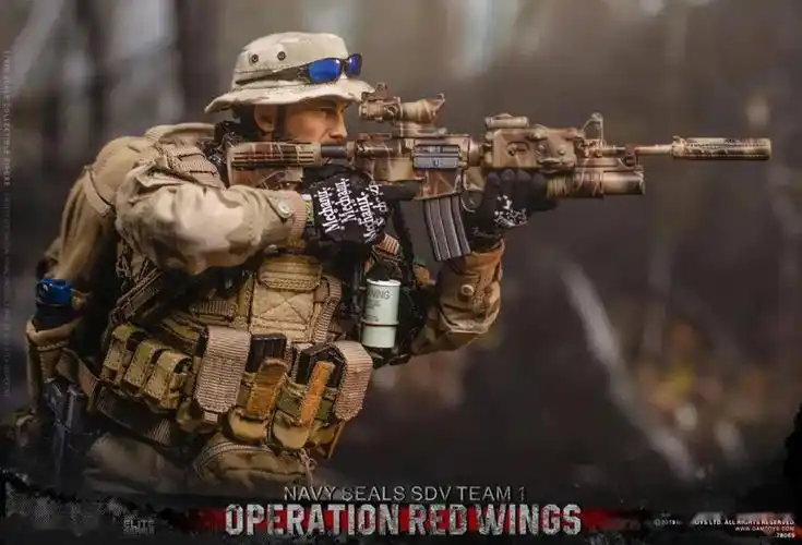 精选好图:美军海豹突击队之三