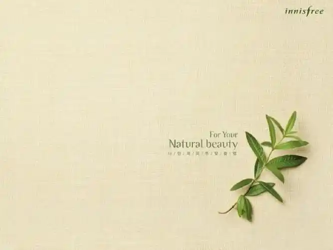 简单大方图片,既不单调,也不会看花眼.