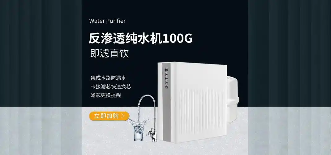 家用智能反渗透纯水机无桶大流量家用ro100g直饮厨房净水器600g