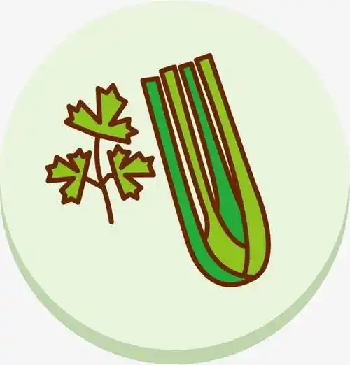 芹菜简笔画图片大全彩色 芹菜简笔画图片大全大图