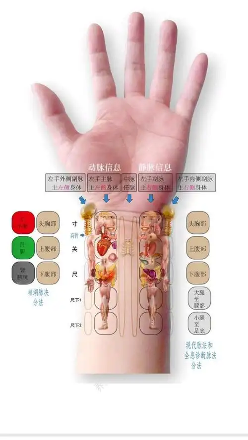 一天一条04-03 13:02266赞踩很多细心的人会发现中医把脉的时候使用三
