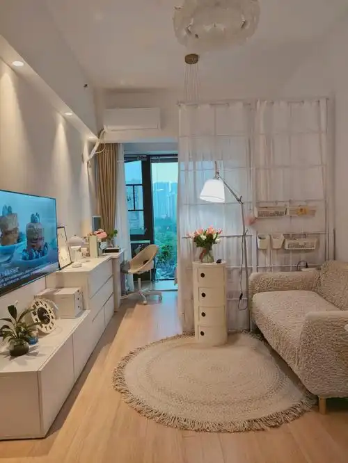 我的小家是套内25平米的小公寓,9.2*2.8米的开间.