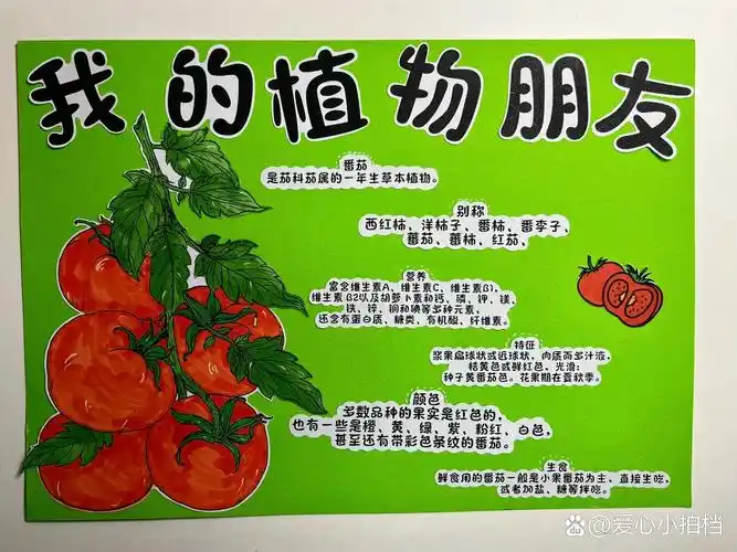 手抄报《我的植物朋友》