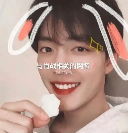 与肖战相关的网名粉丝投稿