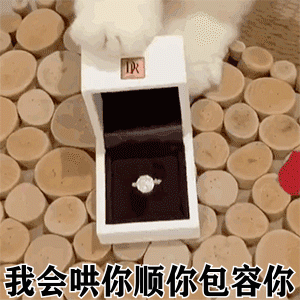 我会哄你顺你包容你(猫咪推戒指 gif 动图表情包)_gif_猫咪_动图_包容