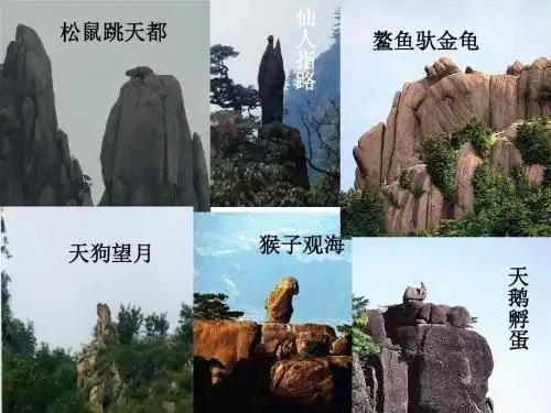 黄山还有其它奇石吗?