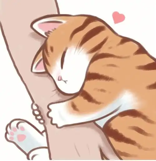 今天的是可爱橘猫头像男女都能用点赞哈