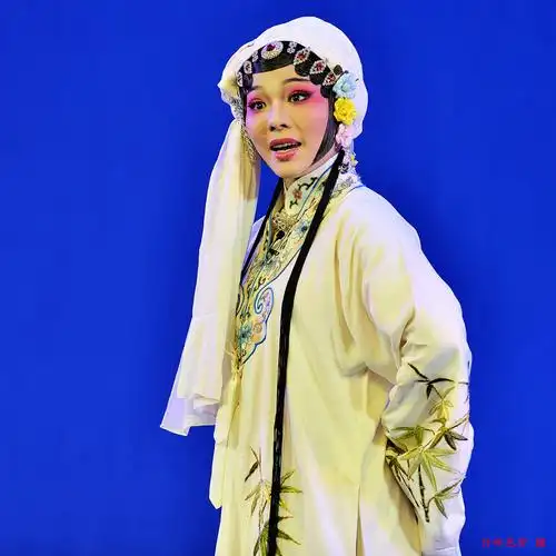 高甲戏·杨门女将02