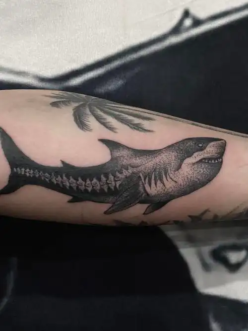 鲨鱼点刺_纹身图案手稿图片_句多的纹身作品集