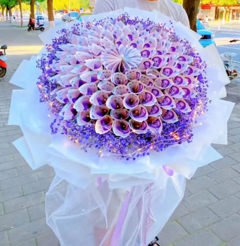 diy网红有钱花自制礼物干花满天星钱花束红包材料包女百元钞票