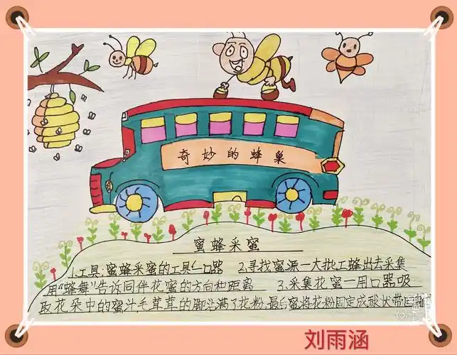2.18班 神奇的校车(三)——奇妙的蜂巢