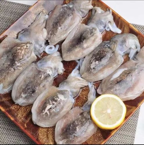 团长直播专享鲜冻小墨鱼500g3包顺丰包邮冷冻墨鱼